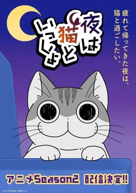 关于养猫我一直是新手第二季