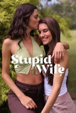 我的笨蛋老婆失忆了第三季